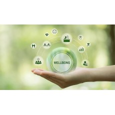 World of Wellbeing 
